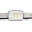 Black Diamond Cosmo 300 Headlamp, Aluminum, BD6206601001ALL1