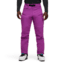 Black Diamond Dawn Patrol Hybrid Pants - Mens, Piton Purple, Small, AP7430085022SML1