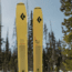 Black Diamond Impulse 112 Ti Skis, NO COLOR, 186 cm, BD11514500001861