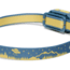 Black Diamond Kids Wiz Headlamp, Creek Blue, One Size, BD6206994064ALL1