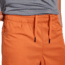 Black Diamond Notion Shorts - Mens, Saffron, Extra Large, AP7511268012XLG1