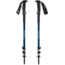 Black Diamond Trail Sport 3 Trekking Poles, Kingfisher, BD1122254015ALL1