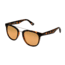 Body Glove Regardo Sunglasses, Tort Frame, Demi Polarized Lens, Polarized, 10236218.QTM