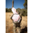 BOG Hunting Backpack Frame, Ti or CF, 1159185