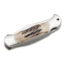 Boker Junior Scout Folding Knife, 2.8in, N690, Stag , Brown, 111910