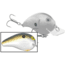 Bomber Model 5A Square Crankbait, 2in, 3/8z, Foxy Momma, B05SLFMM