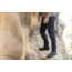 Boulder Denim Men's Athletic Fit, Rinse Indigo, 32, BD2MATH32