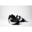 Brooks Ghost 18 Running Shoes - Mens