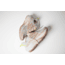 Brooks Ghost Trail Shoes - Womens