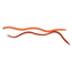 Brooks-Range Backcountry Ski Strap - 24