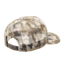 Browning Glasspoint Cap, Auric Camo, One Size, 308059351