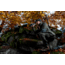 Burris BTH 50 3.3-13.2x50mm Thermal Hand-held Monocular, Multiple Reticles, 400x300, 50hz, Matte Black, 300630