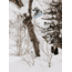 Burton Family Tree Hometown Hero Snowboard, Clear, 152, 22245100000-152