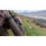 Bushnell Forge 8x42mm Roof Prism Binocular, Dark Earth, BF842T