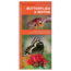 Butterflies &amp; Moths, James Kavanagh, Publisher - Pocket Naturalist