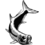 Calcutta Fish Decals