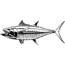 Calcutta Fish Decals
