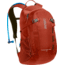 CamelBak Cloud Walker 18 Hydration Pack-Rooibos/Black Olive