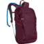 CamelBak Women's Daystar 16 Recreation Packs, 85 oz, winetasting/charcoal, 85oz, 2212501000