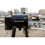 Camp Chef 14inX16in Italia Artisan Pizza Oven Accessory, Black/Silver, PZ30