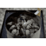 Camp Chef Charcoal Lighter Basket CLB9CC