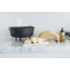 Camp Chef Deluxe Cast Iron Dutch Oven, 6quart Dutch Oven, Black, DO10