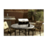 Camp Chef Portable BBQ Grill, Stainless Steel, PG100