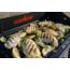 Camp Chef Reversible Pre-seasoned Cast Iron Grill - Griddle 24in, Griddle, Black, CGG24B