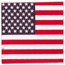 Carolina Manufacturing American Flag B22AME-000114