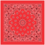 Carolina Manufacturing Bandana Paisley Terracotta B22PAI-000014