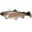 Castiac Boot Tail Swim Bait 4in, Trout, SBT4R