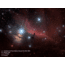 Celestron Advanced VX 800 RASA - Rowe-Ackermann Schmidt Astrograph - Telescope, 8in, f/2.0, 843x, 9.3in Tube 12032