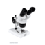 Celestron S10-30N, Stereo Microscope, White, 44138