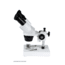 Celestron S10-30N, Stereo Microscope, White, 44138