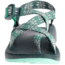 Chaco Z Cloud 2 Sandal - Women's, Jab Pine, 6 US J106622-06.0