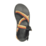 Chaco Z1 Classic Sandals - Mens, Tetra Moss, 13, Medium, JCH108393, 13