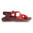 Chaco ZCloud 2 - Mens, Grenadine, Medium, 10, J106735-10