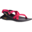 Chaco ZCloud - Womens, Wdstk Ascend Pink, Medium, 5, J107398-5