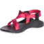 Chaco ZCloud - Womens, Wdstk Ascend Pink, Medium, 5, J107398-5