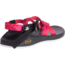 Chaco ZCloud - Womens, Wdstk Ascend Pink, Medium, 5, J107398-5