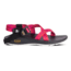 Chaco ZCloud - Womens, Wdstk Ascend Pink, Medium, 5, J107398-5