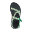 Chaco ZCloud - Womens, Wubwub Katydid, Medium, 7, J107094-7