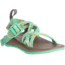 Chaco Zx1 Ecotread - Kids, Placas Katydid, 6, J180268-06.0