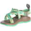 Chaco Zx1 Ecotread - Kids, Placas Katydid, 6, J180268-06.0