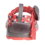 Chaco Zx1 Ecotread - Kids, Speck Grenadine, 5, J180262-05.0