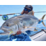 Cheeky Fishing Limitless 475 Fly Reel, Green/Blue, 10-12 wt, 4.75 in diameter, C-LIM-475-RGB