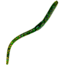 Chompers Drop Shot Worm, 1, 4in, Watermelon Candy, DS410-37