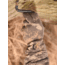 Code of Silence Verdigre Gloves - Mens, Camo, Extra Large/2X Large, 118001004