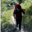 Col Mountain Tech Compaion Pole