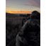 Col Mountain Tech The MMD Tripod Head